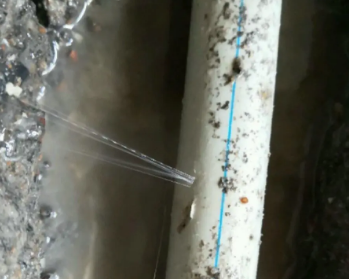三河卫生间测漏水多少钱